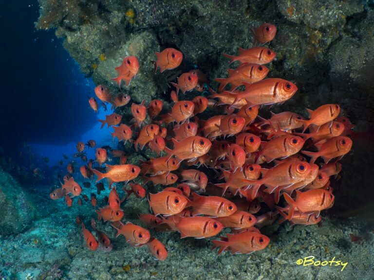 SAO NICOLAI - CAPE VERDE